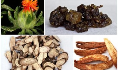 2 bài thuốc hiệu quả chữa chứng bệnh rất dễ dẫn tới tai biến