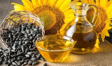 Tác hại của việc ăn nhiều dầu hướng dương