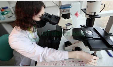 Phương pháp mới để tiêu diệt tế bào ung thư