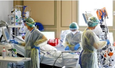 Bộ Y tế cho phép dùng xuyên tâm liên để điều trị Covid-19 triệu chứng nhẹ