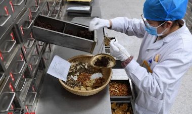 Những Bài thuốc Đông Nam dược phòng chống virus Covid-19 được Trung Quốc sử dụng rộng rãi nhất