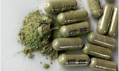 Phát hiện mới về công dụng của xuyên tâm liên