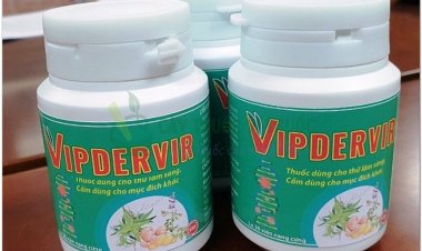 Việt Nam điều chế thành công thuốc tiền lâm sàng trị Covid-19 từ các loại thảo dược, cây thuốc rất quen thuộc