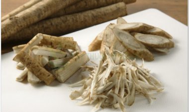 Hạt Ngưu Bàng  và rễ Ngưu Bàng có thể giúp phòng chống ung thư, suy nhược cơ thể.