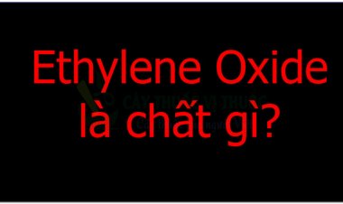 Ethylene Oxide là chất gì?