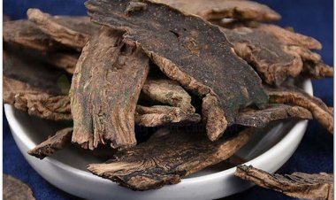 Huyền sâm và bài thuốc đông y chữa bệnh