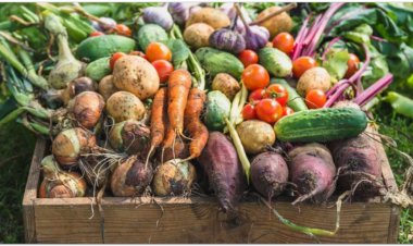 Ăn các sản phẩm hữu cơ vì những lợi ích cho đời sống sức khỏe