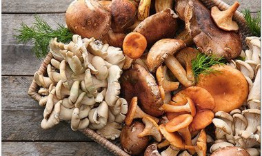 Những thực phẩm giàu vitamin D lựa chọn phù hợp cho những người cần bổ sung