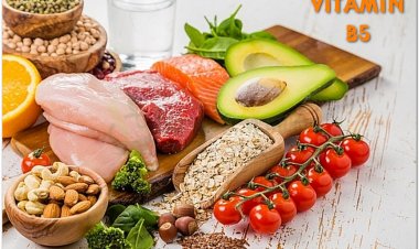 Vitamin B5 có tác dụng gì