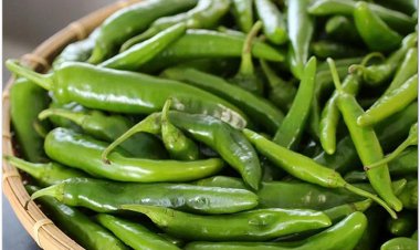 Ớt xanh ngừa ung thư, tiểu đường, đẹp da, giảm cân