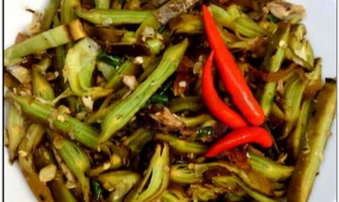 Cây núc nác món ăn thuốc quý cho mọi nhà