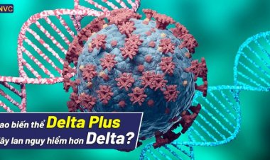 Biến thể Delta Plus là gì? Vì sao lại lây lan nguy hiểm hơn Delta?