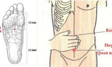 Yếu sinh lý hãy day ấn huyệt quan nguyên, huyệt dũng tuyền