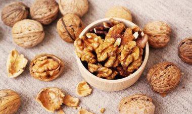 Hồ đào nhân (hạt óc chó) và các vị thuốc từ cây hồ đào thường dùng