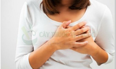 Những thực phẩm nên và không nên dùng cho người bệnh Ung thư vú