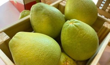 Ăn bưởi 7 ngày liên tục, người đàn ông suýt bại liệt vì...