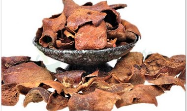 Vỏ lựu, Vỏ quả thạch lựu (Pericarpium granati)