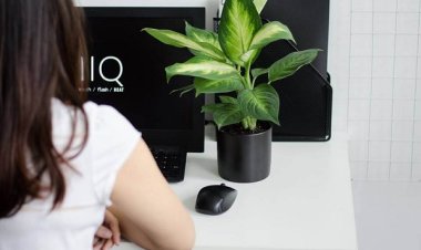 Chuyên gia tiết lộ món đồ phạm phong thủy: Tuyệt đối đừng đặt lên bàn làm việc nếu không muốn mãi nghèo!