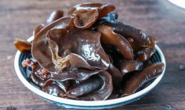 Những lưu ý khi sử dụng mộc nhĩ để không gây ngộ độc cho cơ thể