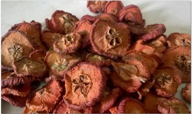 Táo mèo, Sơn tra, bắc sơn tra, nam sơn tra, dã sơn tra, aubepine (Crataegus pinnatifida Bunge, Crataegus cuneata Sieb.et Zucc)