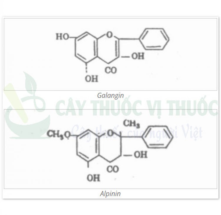 Galangin, Alpinin