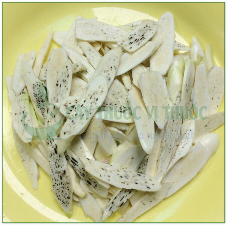 Niễng, cô mễ, giao cẩu, lúa miêu, củ niễng, giao bạch tử (Zizania latifolia Turcz (Zizania aquatica L., Zizania dahurica Steud, Hydropyrum latifolium Griseb., Limnochloa caduciflora Turcz.))