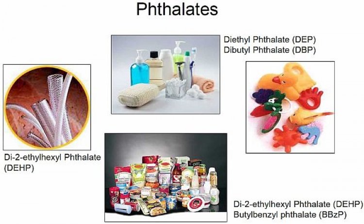 Chất Phthalates nguy hiểm cho phụ nữ mang thai cần tránh dùng hàng ngày