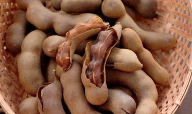 Chữa sốt do nắng nóng bằng quả me