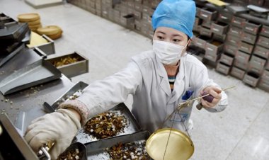 Các phương pháp, bài thuốc Đông y hỗ trợ điều trị bệnh nhân F0