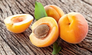 Tác dụng của Rượu ngâm quả Mơ