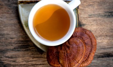 Chi tiết cách pha chế trà Linh chi thảo dược cho người suy nhược cơ thể, mệt mỏi