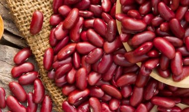 Hạt đậu đỏ có công dụng gì, đậu đỏ dùng làm gì nếu chưa biết hãy xem dưới đây là những cách thường dùng nhất  hạt đậu đỏ chữa bệnh