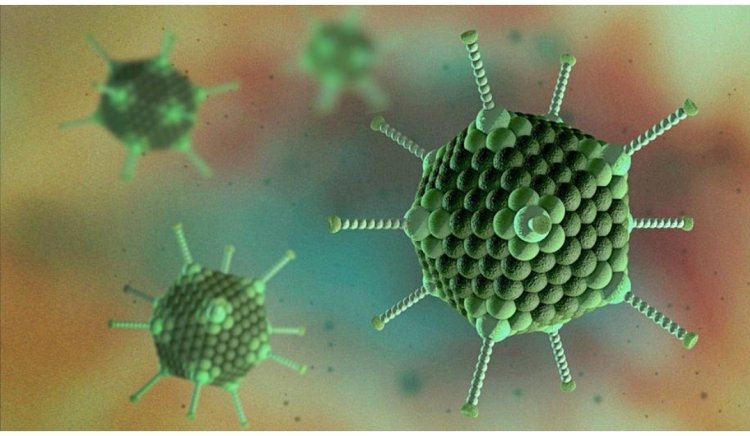 Virus Adenovirus có thể nghi phạm gây bệnh viêm gan bí ẩn ở trẻ em