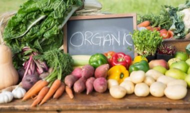 Sử dụng thực phẩm hữu cơ có giúp ngăn ngừa ung thư