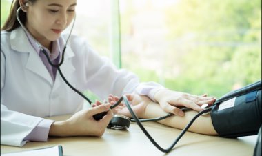 5 bài thuốc chữa tăng huyết áp có vị thuốc từ râu ngô