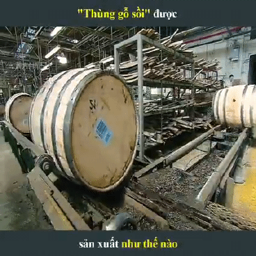 Công xưởng tạo ra những chiếc thùng ủ Rượu Vang từ gỗ Sồi