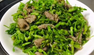 Cùng xem Protein động vật và thực vật có gì khác nhau?