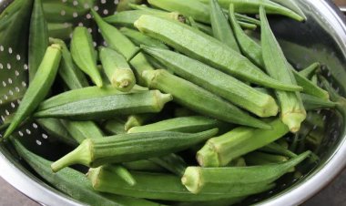 Những tác hại khi ăn đậu bắp bạn cần biết