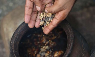 Sri Lanka dự kiến thu được 3 tỷ USD từ xuất khẩu sản phẩm y học cổ truyền