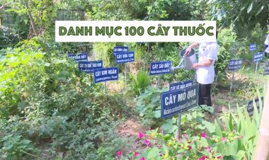 Tải về: 100 dược liệu có giá trị y tế và kinh tế cao để tập trung phát triển giai đoạn 2020-2030 theo Quyết định số 3657/QĐ-BYT