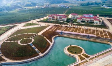 Vân Hồ quan tâm phát triển vùng trồng cây dược liệu quý