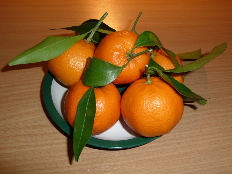 QUÝT (Citrus reticulata Blanco)