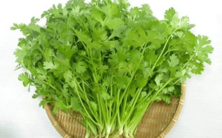 Rau trong vườn nhà, biết ăn sẽ giúp giảm nguy cơ mắc ung thư và mỡ máu