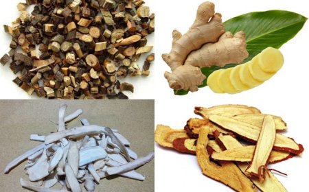 Bài thuốc Quế chi thang trị cảm lạnh ra nhiều mồ hôi