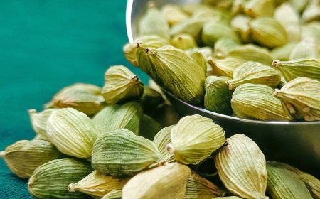 Tìm hiểu tác dụng vị thuốc Bạch đậu khấu, hay còn gọi là thảo quả xanh