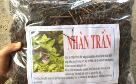 Lưu ý khi sử dụng nhiên trần để không hại sức khỏe