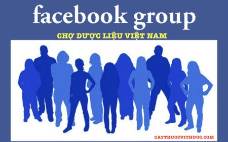 THAM GIA NHÓM ZALO, MỨC PHÍ GÓI ĐĂNG BÁN HÀNG TRÊN CHỢ DƯỢC LIỆU VIỆT NAM