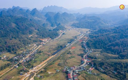 Dự án dược liệu quý: Phát triển cây dược liệu dưới tán rừng tại Nguyên Bình, Cao Bằng