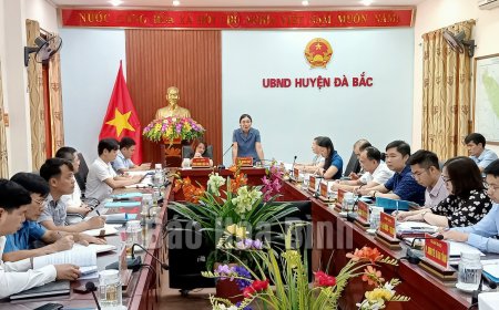 Huyện Đà Bắc lấy ý kiến về phát triển vùng trồng cây dược liệu quý