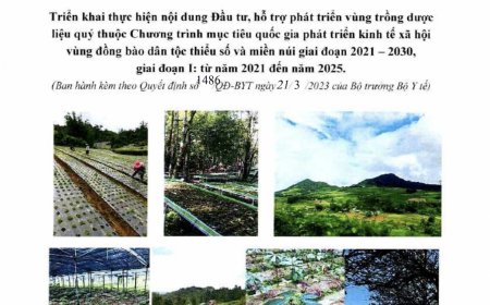 Quyết định ban hành Sổ tay hướng dẫn triển khai nội dung Đầu tư, hỗ trợ phát triển vùng trồng dược liệu quý